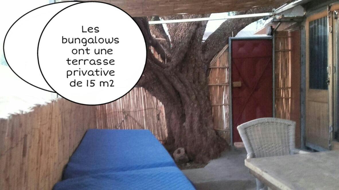 Gite Village Paradise Valley Tagherat Anekrim Habitación foto